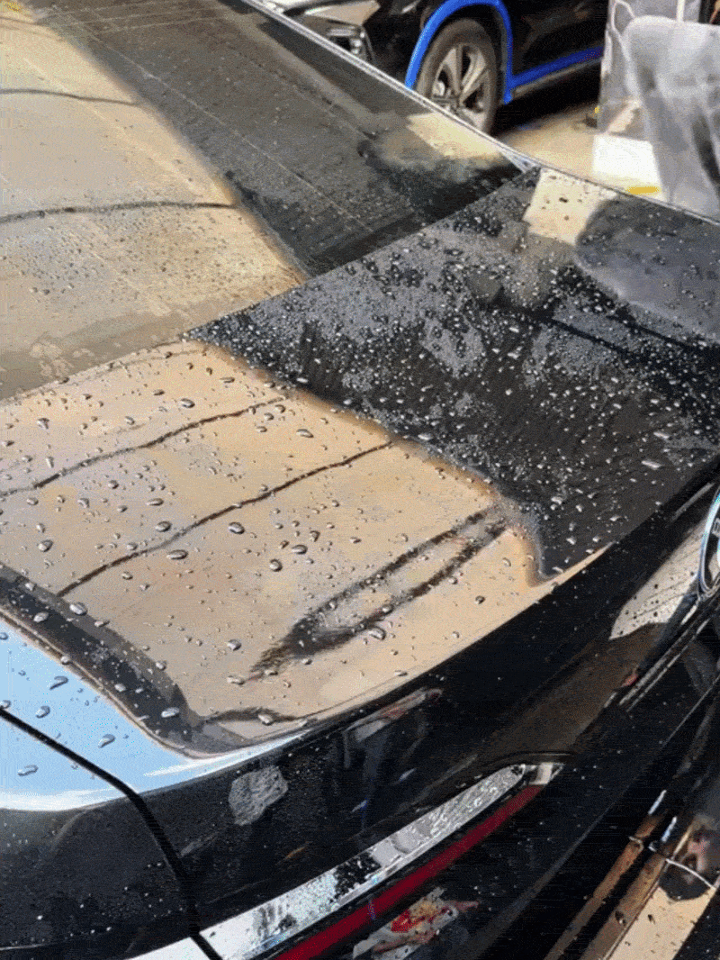 One towel. The whole car.