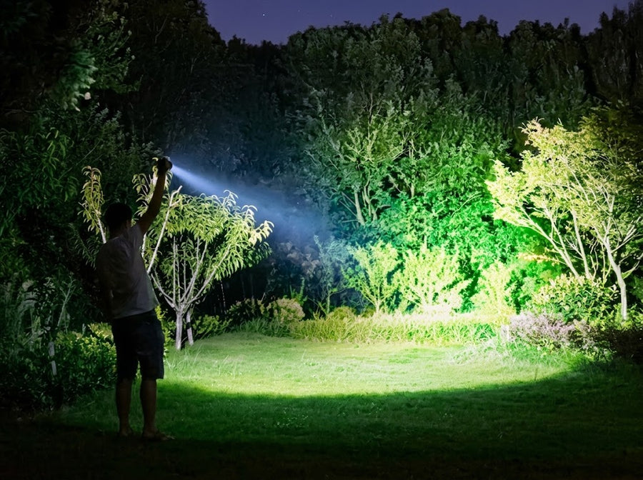 LIGHTS UP THE WHOLE YARD