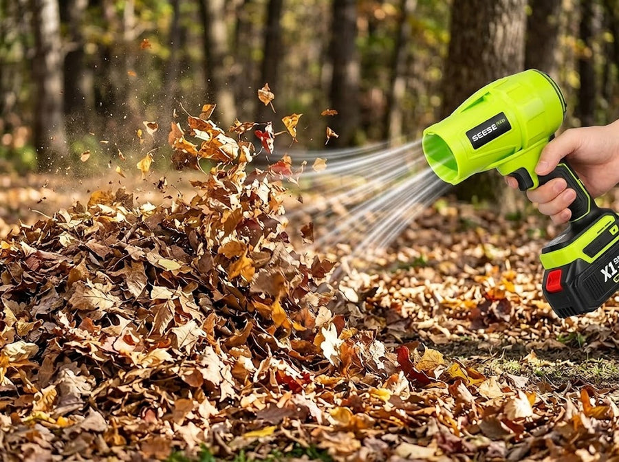THE GARDEN TIDY-UP